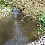 Ebs Paradies Rheinhausen