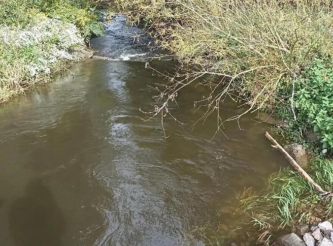 Ebs Paradies Rheinhausen